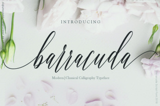 Barracuda Script: A Handwritten Font That Elevates Real Small Business Branding