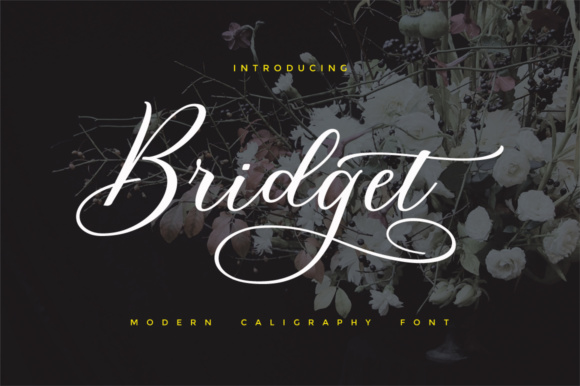 Bridget Script: A Fresh, Dancing Script for Modern Brand Identity