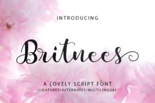 Britnees Script: A Designer’s Real-World Review