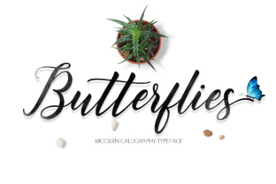 Butterflies Script: A Fresh, Dancing Script Font for Modern Brand Identity