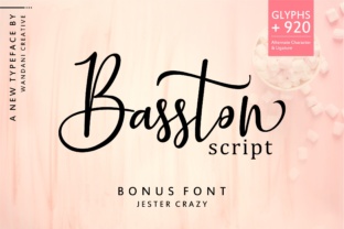 Elevate Campaigns With Basston Script Typeface