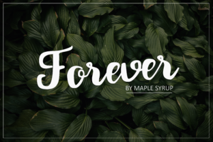 Forever Script: A Romantic Typeface for Branding Projects