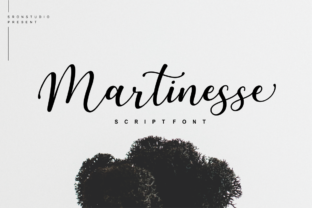 Martinesse Script: A Designer’s Real-World Review