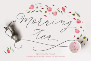 Morning Tea Script: A Hand-Drawn Font That Builds Brand Warmth