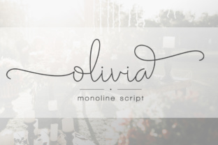 Olivia Script: A Polished, Modern Typeface for Real Small Business Branding