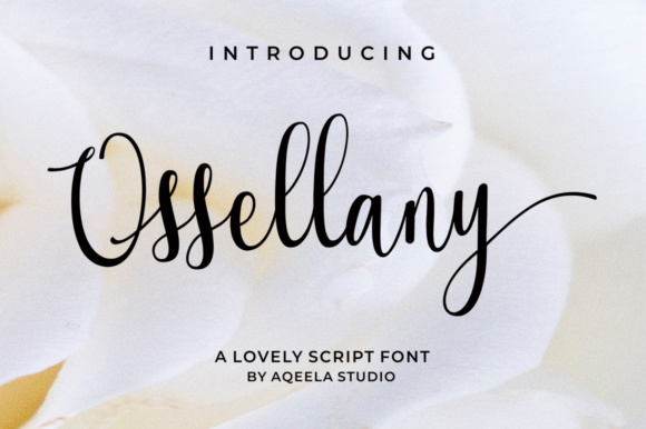 Ossellany Script: A Modern Calligraphy Font That Cuts Through the Feed