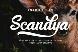 Scandya Script: A Designer’s Real-World Review