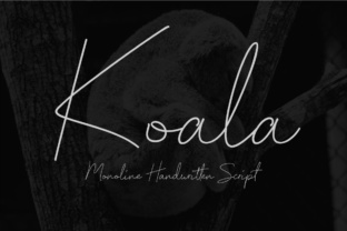 The Koala Script Font: A Handwritten Touch for Business Branding